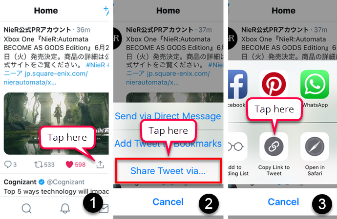 This image shows the three steps you need to follow to get the link to a tweet on mobile