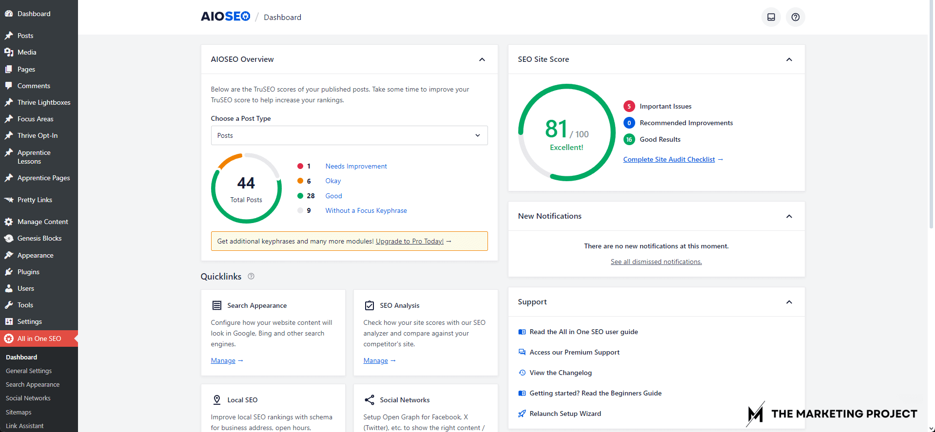 Image shows AIOSEO's dashboard